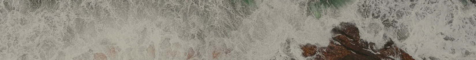 collection-banner-image