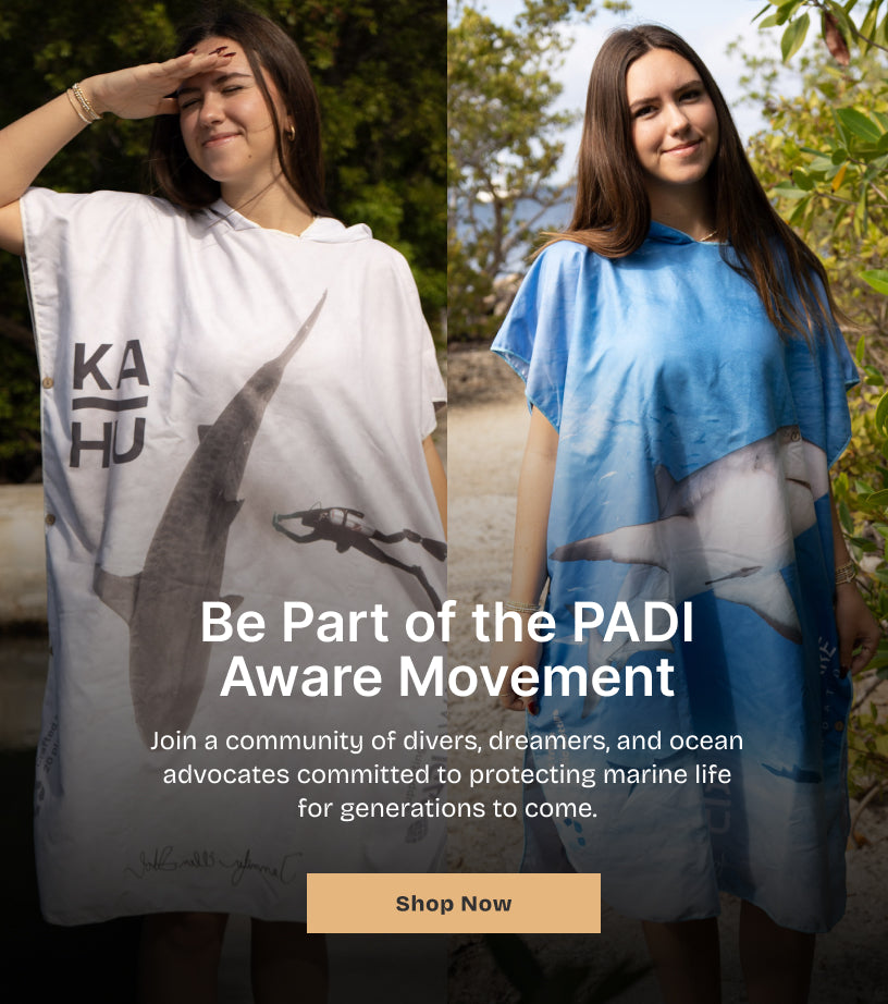 slider image slider_item_zRkR9W